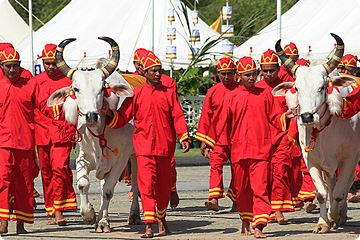 Koninklijke Ploegceremonie, Bangkok