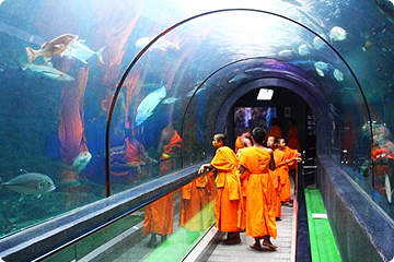 De onderwater wereld in het Phuket Aquarium