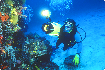 Ontdek de onderwater wereld met Siam Divers and Sail