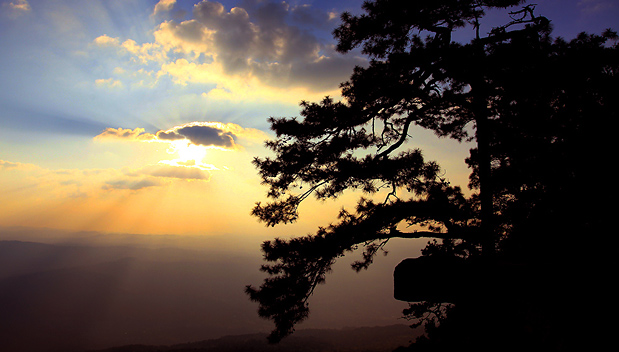 Phu Kradueng Nationaal Park