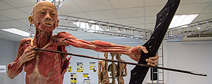 Museum of Human Body in Bangkok