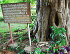Phnom-Penh, Cambodja